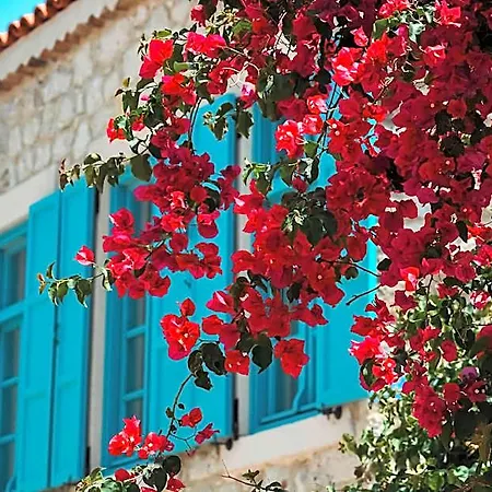Casa Alegre Alacati Hotel Çeşme